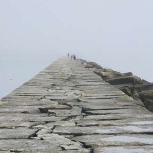 Meet your Posher, Kira